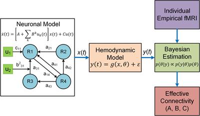 From descriptive connectome to mechanistic connectome: Generative modeling in functional magnetic resonance imaging analysis